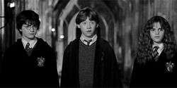Друзья смотрят по сторонам - картинка gif