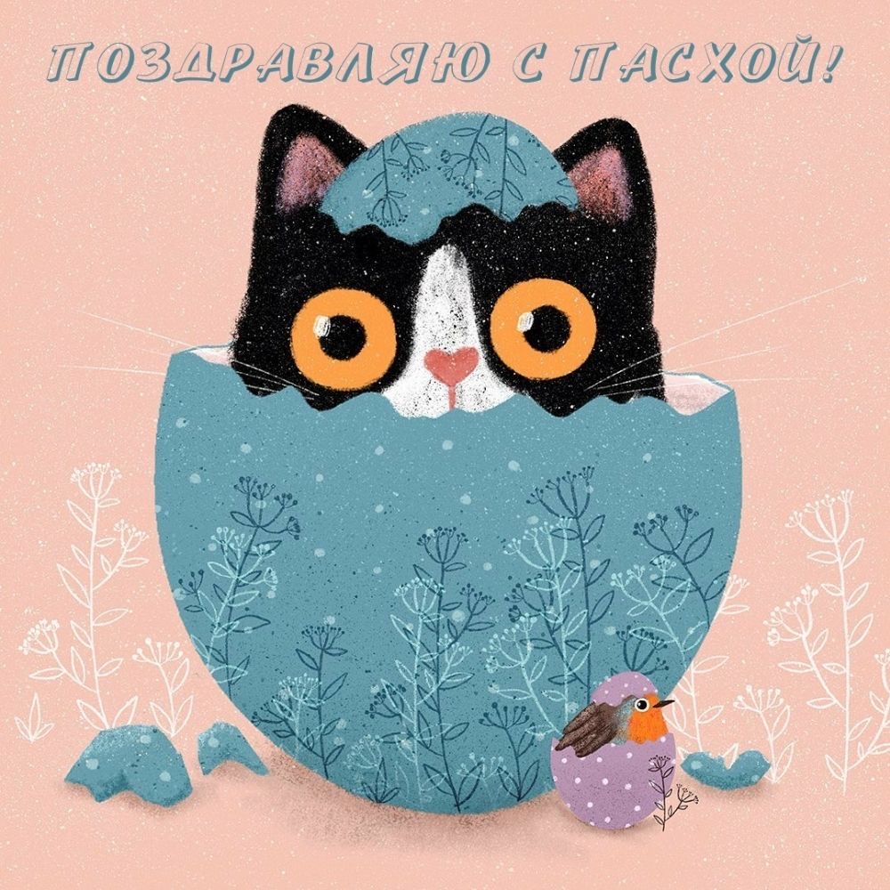 Пасхальный кот в яйце - гифки и картинки