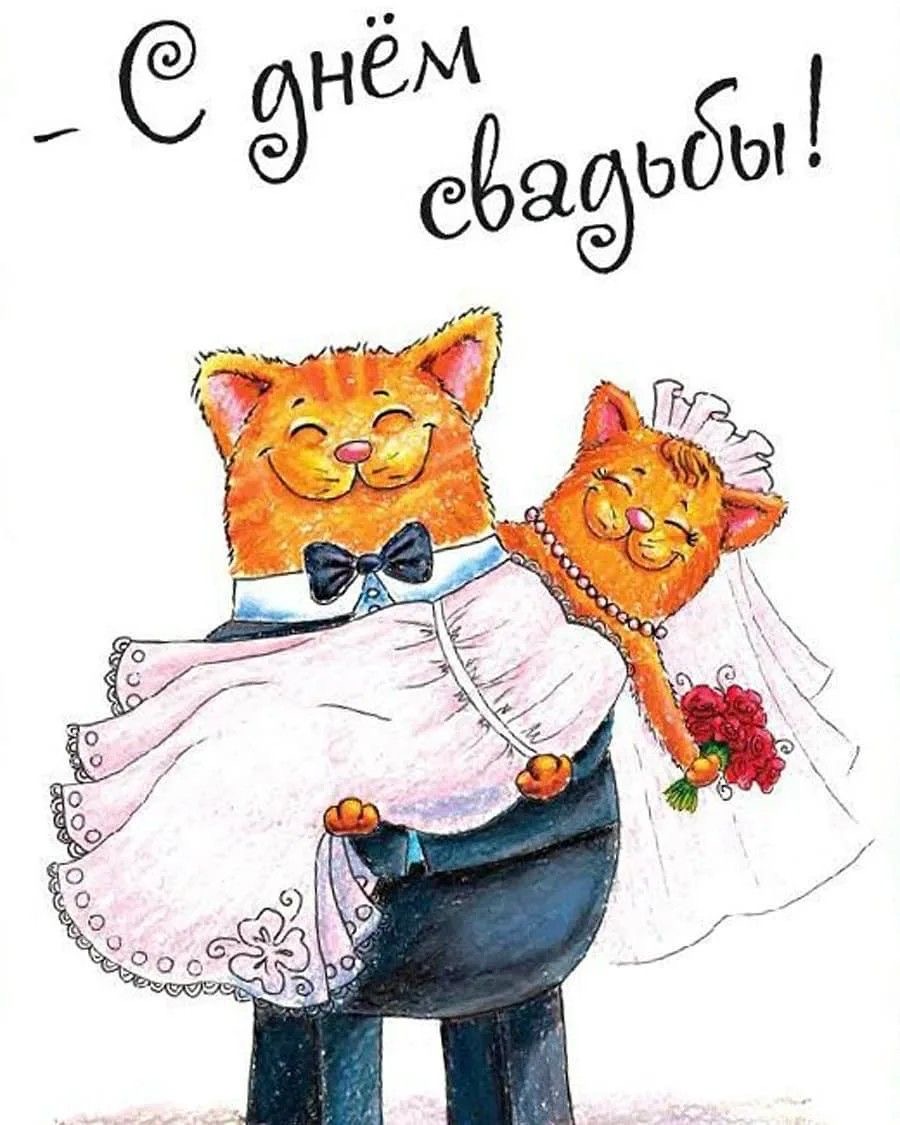 Кот несет невесту-кошку - На свадьбу