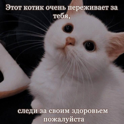 Забота о здоровье - картинка gif