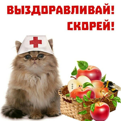 Кот в костюме врача - картинка gif