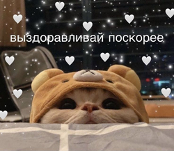 Милый котенок желает выздоровления - картинка gif
