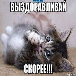 Больной котенок - картинка gif