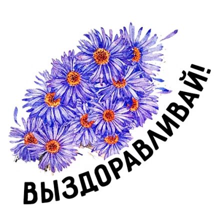Букет с пожеланием выздоровления - Выздоравливай