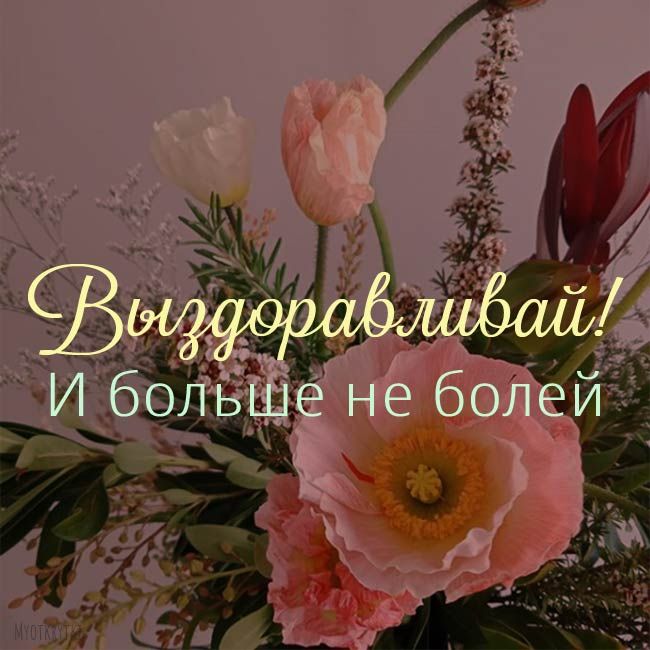Пожелание скорейшего выздоровления - гифки и картинки
