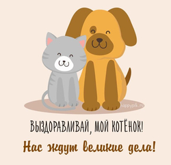 Пожелание выздоровления - картинка gif