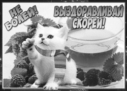 Кот желает скорейшего выздоровления - картинка gif
