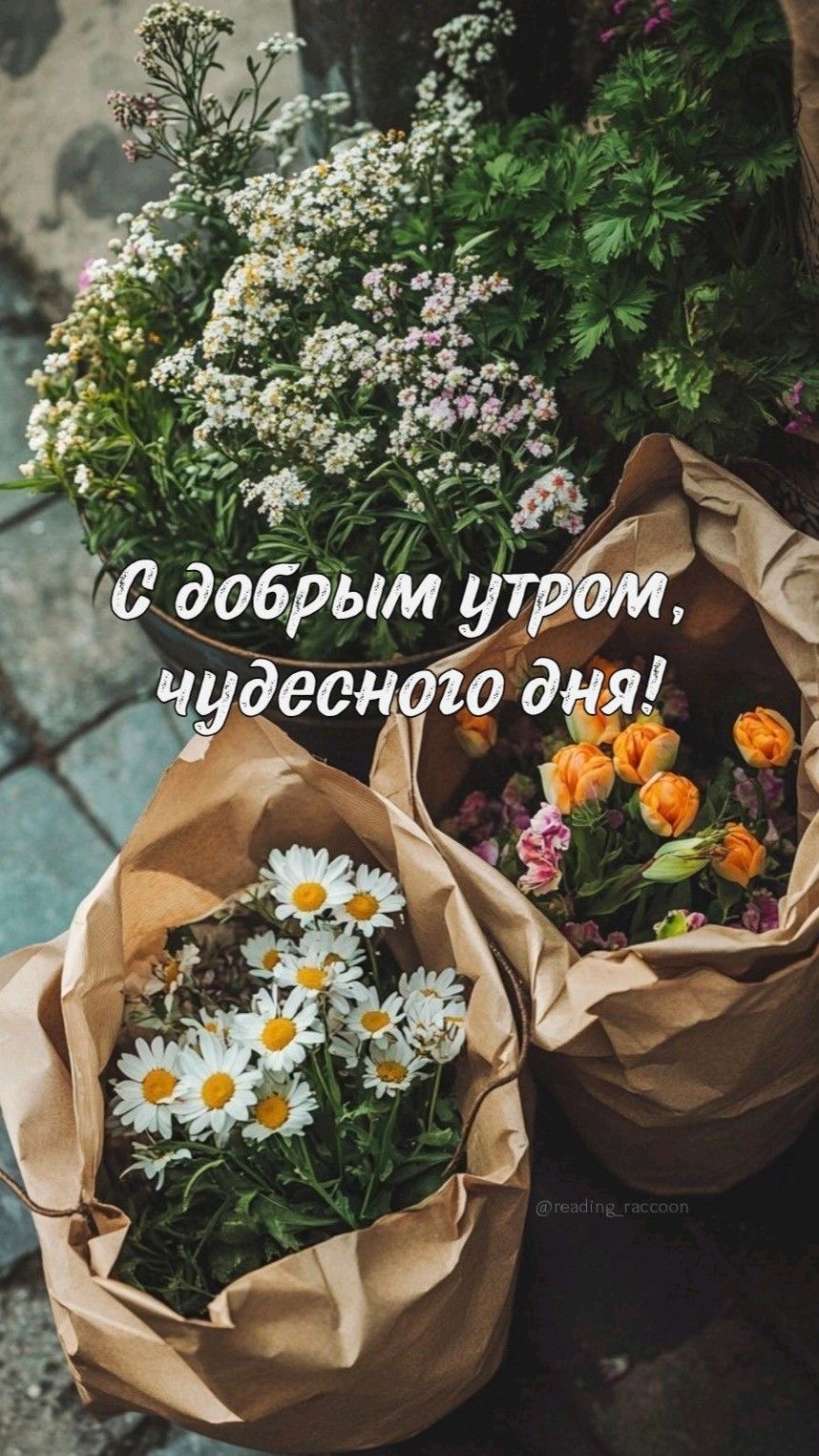 Цветы и пожелание - гифки и картинки