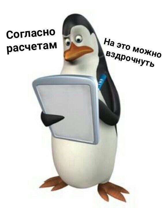 Пингвин изучает документы - гифки и картинки