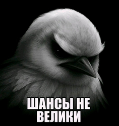 Мрачный взгляд птицы - картинка gif