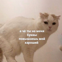 Грустный белый кот - картинка gif