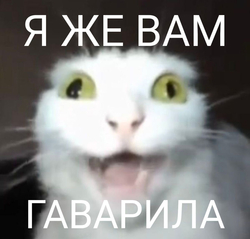 Удивленный белый кот - картинка gif