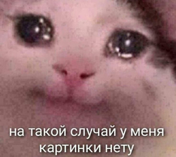 Плачущий кот - картинка gif