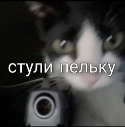 Кот с пистолетом - картинка gif