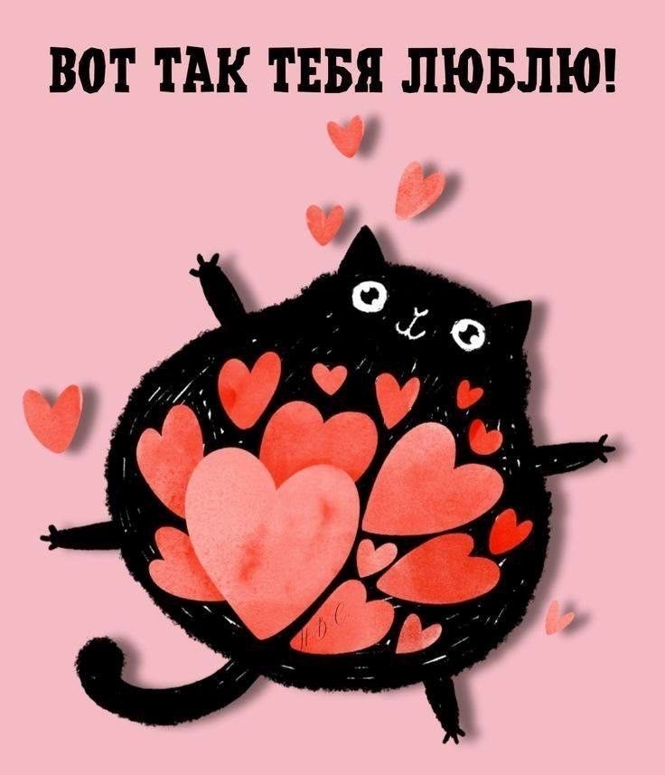 Кот, полный любви - гифки и картинки