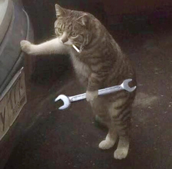 Кот с гаечным ключом - картинка gif