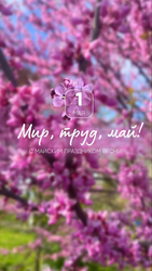 Поздравление с 1 мая - картинка gif