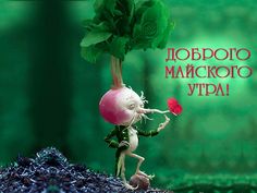 Репостная редиска - Праздник Весны и Труда
