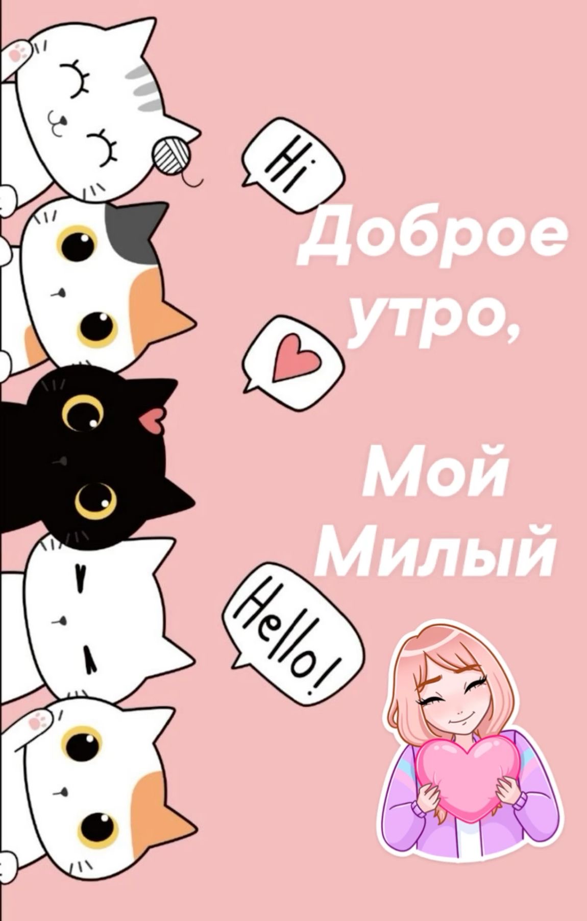 Доброе утро, котики и девушка - С добрым утром любимому