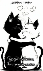 Нежные объятия кошек - картинка gif