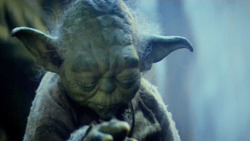 Yoda медленно поднимает взгляд - картинка gif