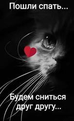 Сладких снов, любимый - картинка gif