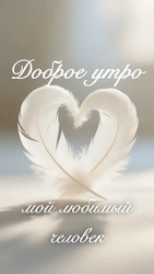 Нежное перьевое сердце, утро - картинка gif