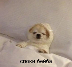 Уютный спящий щенок - картинка gif