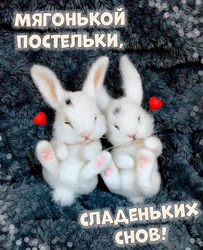 Милые зайцы на пледе - картинка gif