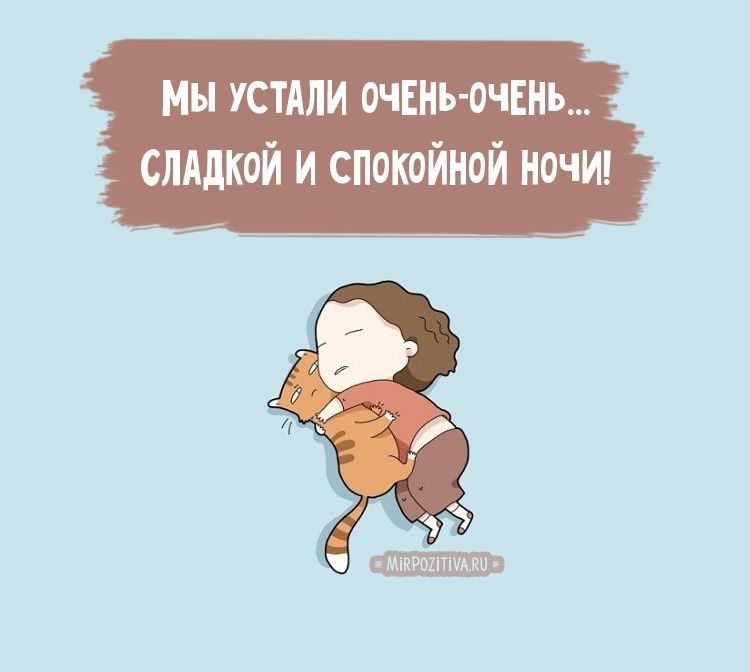 Девочка обнимает кота - Спокойной ночи общие