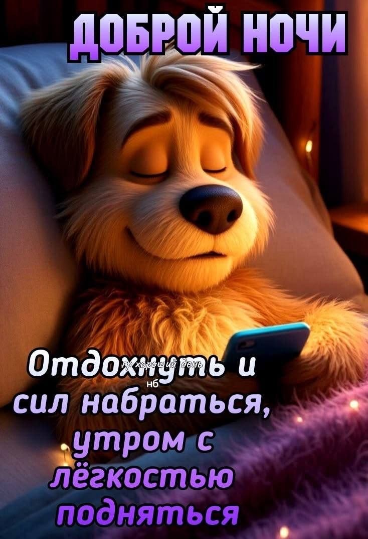Спокойной ночи, сладких снов - Спокойной ночи общие