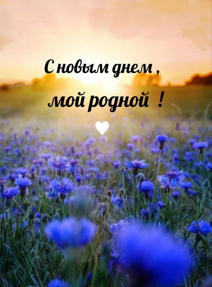 Пожелание доброго утра любимому - С добрым утром любимому