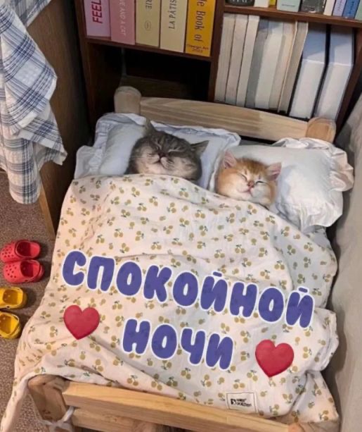Спящие коты в кровати - Спокойной ночи любимой