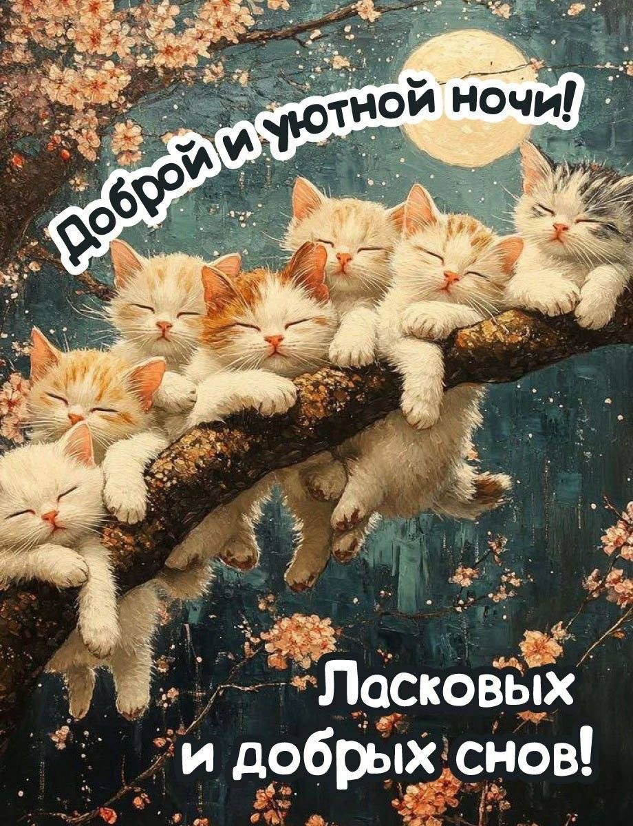 Котята спят на дереве - гифки и картинки