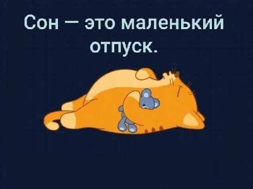 Кот спит с игрушкой - Спокойной ночи общие