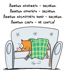 Бессонница у кота - картинка gif