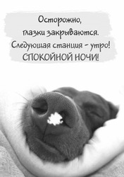 Спящая собака сияет искрами - картинка gif