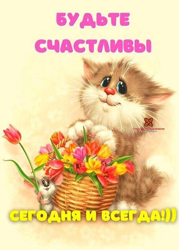 Кот с корзиной тюльпанов - гифки и картинки