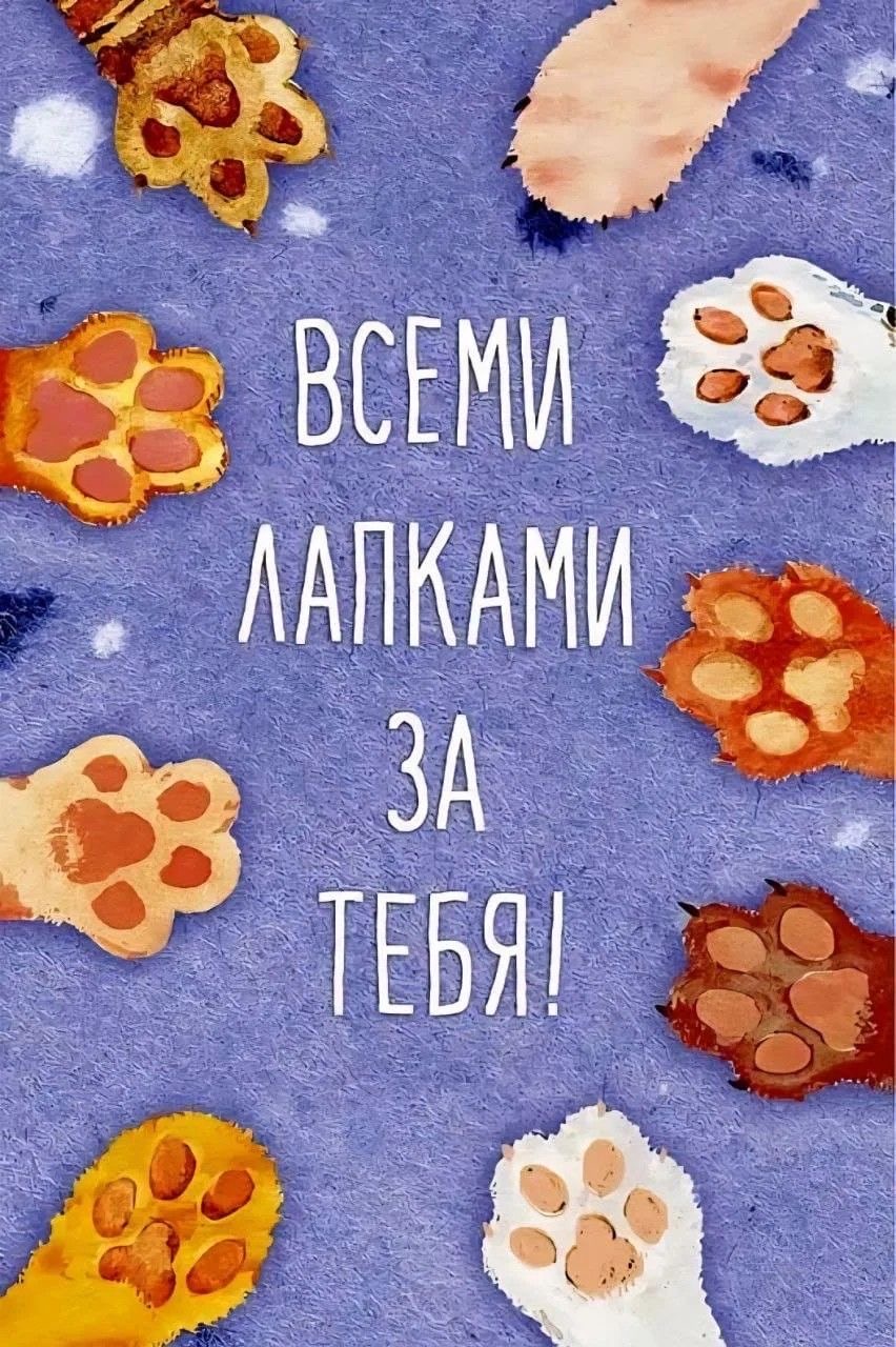 Поддерживаю всеми лапками - гифки и картинки