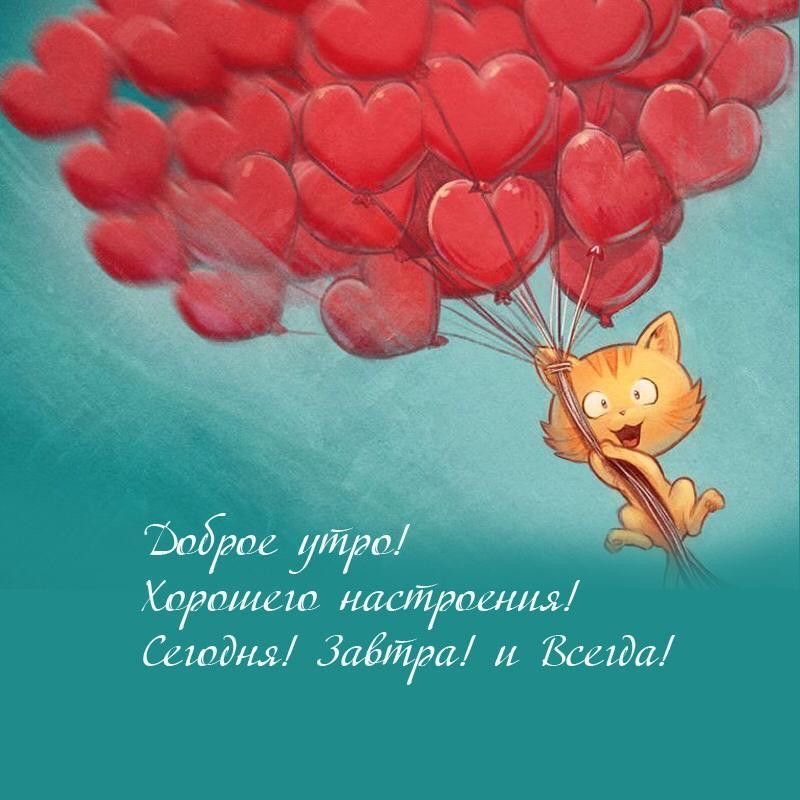 Кот летит с шарами - гифки и картинки