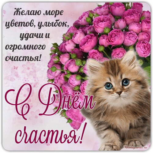 Милый котенок с цветами - картинка gif