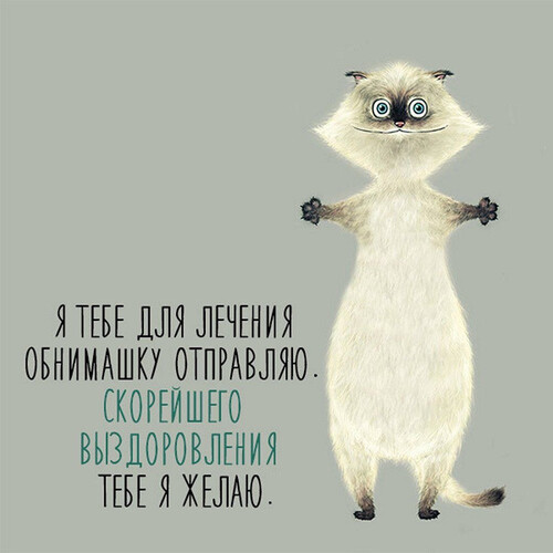 Лечебные объятия кота - картинка gif