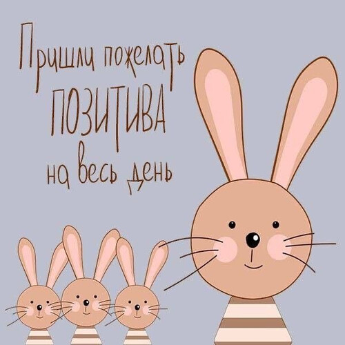 Зайцы желают позитива - картинка gif