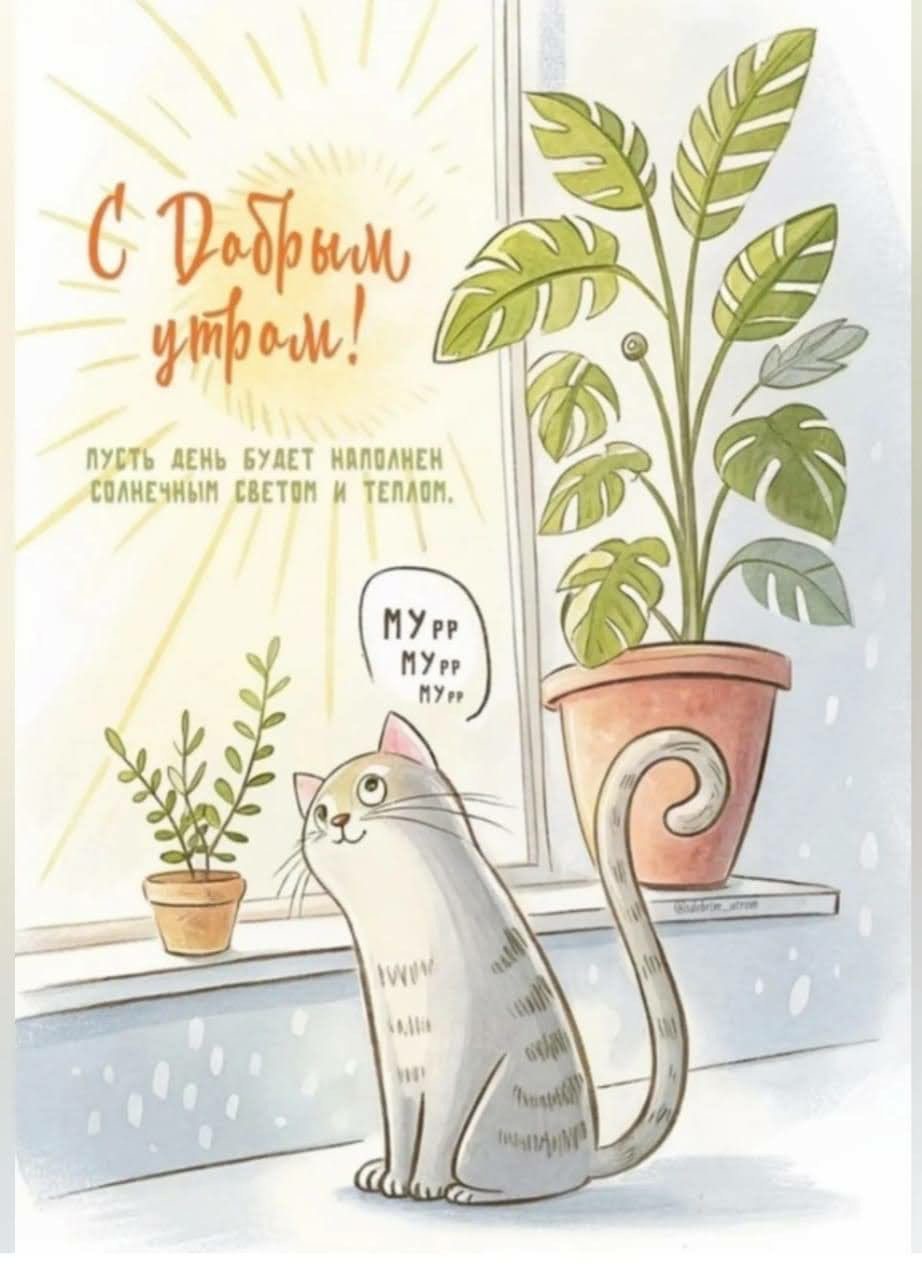 Кот на солнечном окне - С добрым утром общие