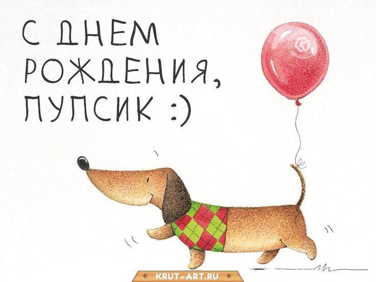 Такса с шариком, поздравление - С днем рождения мужу