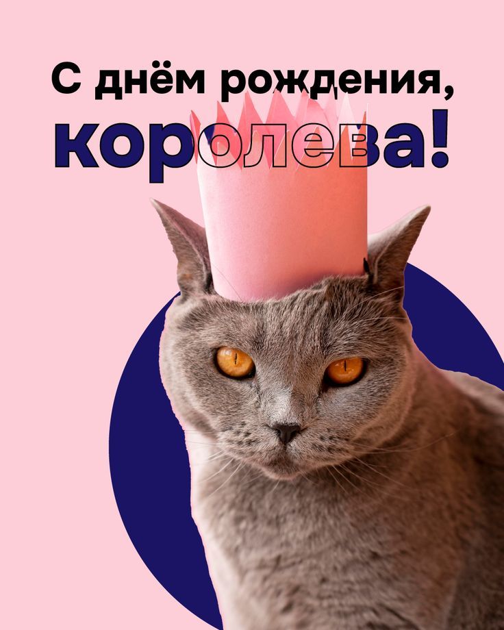 Кошка в короне - С днем рождения женщинам