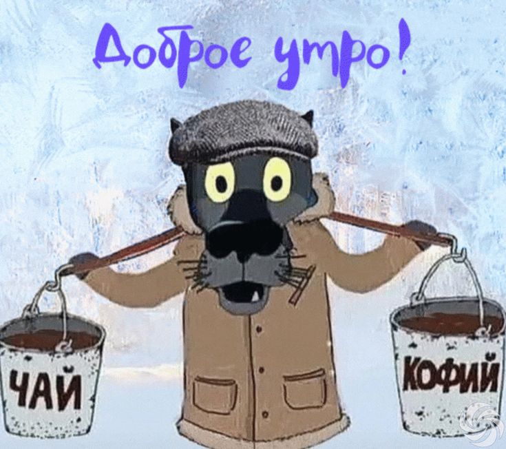 Утро: чай или кофе - С добрым утром смешные