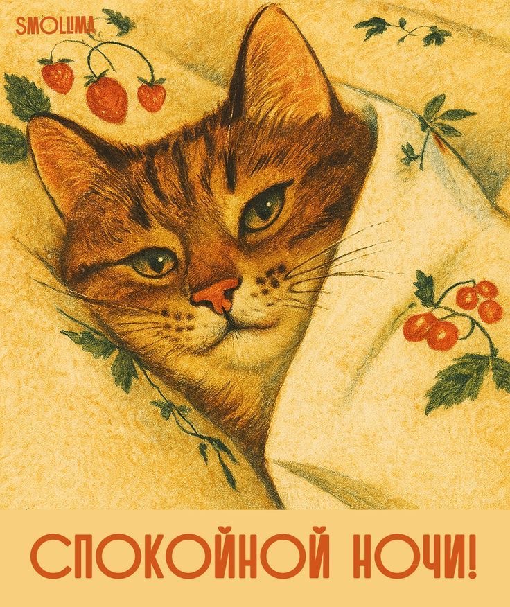Уютный кот желает доброй ночи - Спокойной ночи общие
