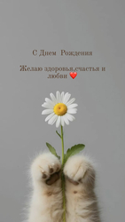 Кошачьи лапки держат ромашку - картинка gif