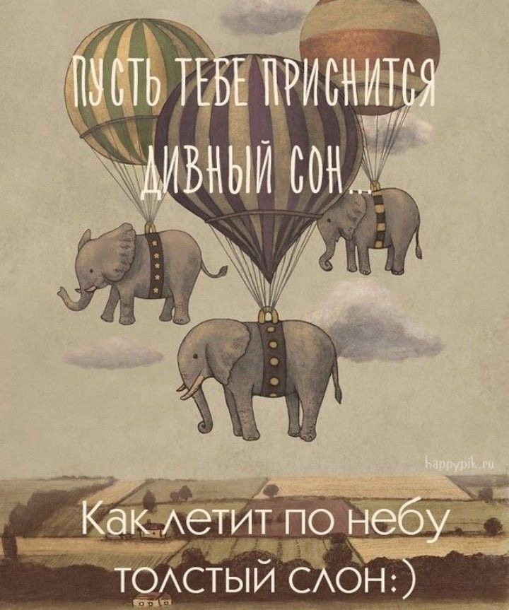 Летающие слоны с шарами - Спокойной ночи смешные